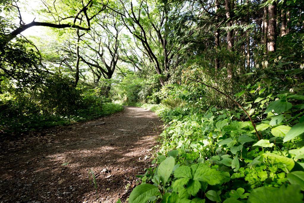 叶山町画布叶山公园旅馆别墅 外观 照片